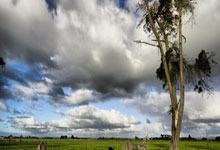 吕迪格:卡拉菲奥里未来可期,但意大利最强后卫是巴斯托尼.