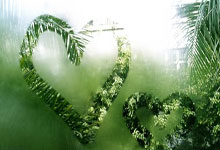 WELLBET官网:博主报国安伤情:林良铭有望在4月2日京津德比复出 张稀哲有伤.