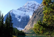 WELLBET官网:灰熊当面解雇主帅!众人得知后第一反应曝光:全队震惊腰王爆粗口.