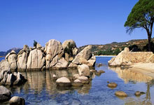 2025奥曦济南气排球联赛开幕,老中青队员尽享健康和快乐.